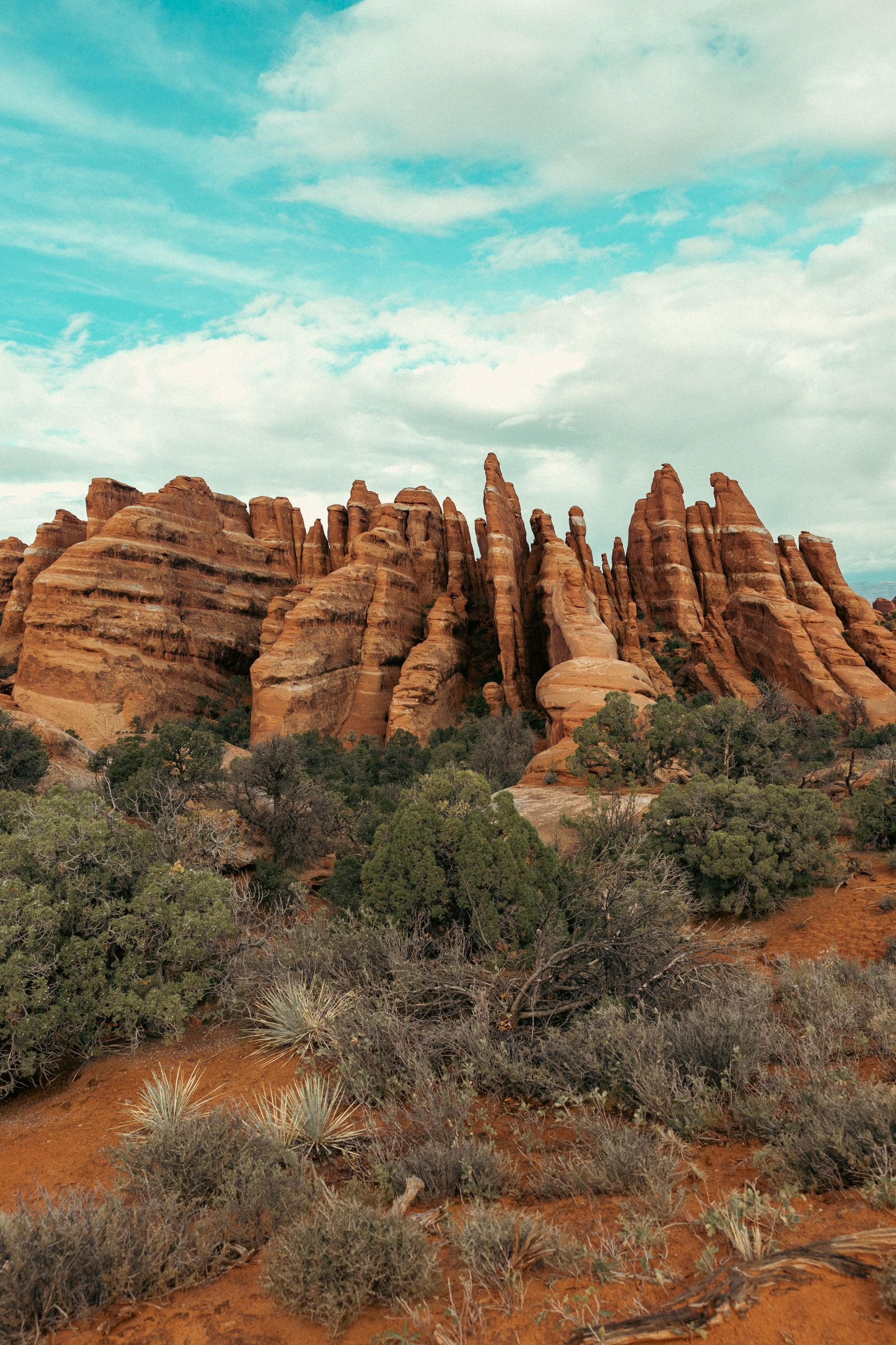 Sandstone Fins in Devils Garden